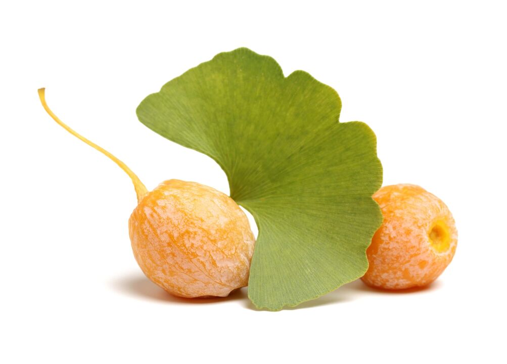 Ginkgo Biloba en Erectil